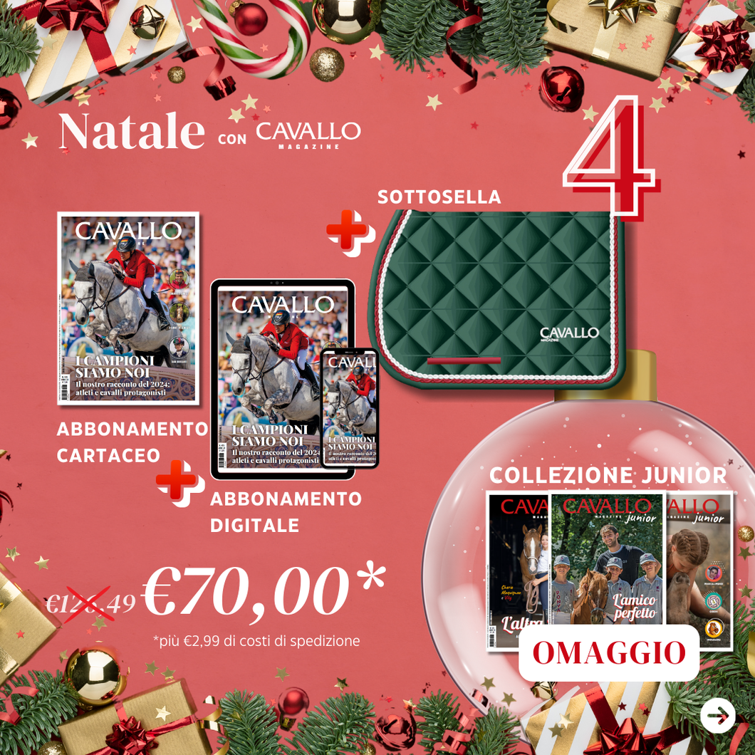 NATALE CON CAVALLO MAGAZINE: IDEA REGALO 4