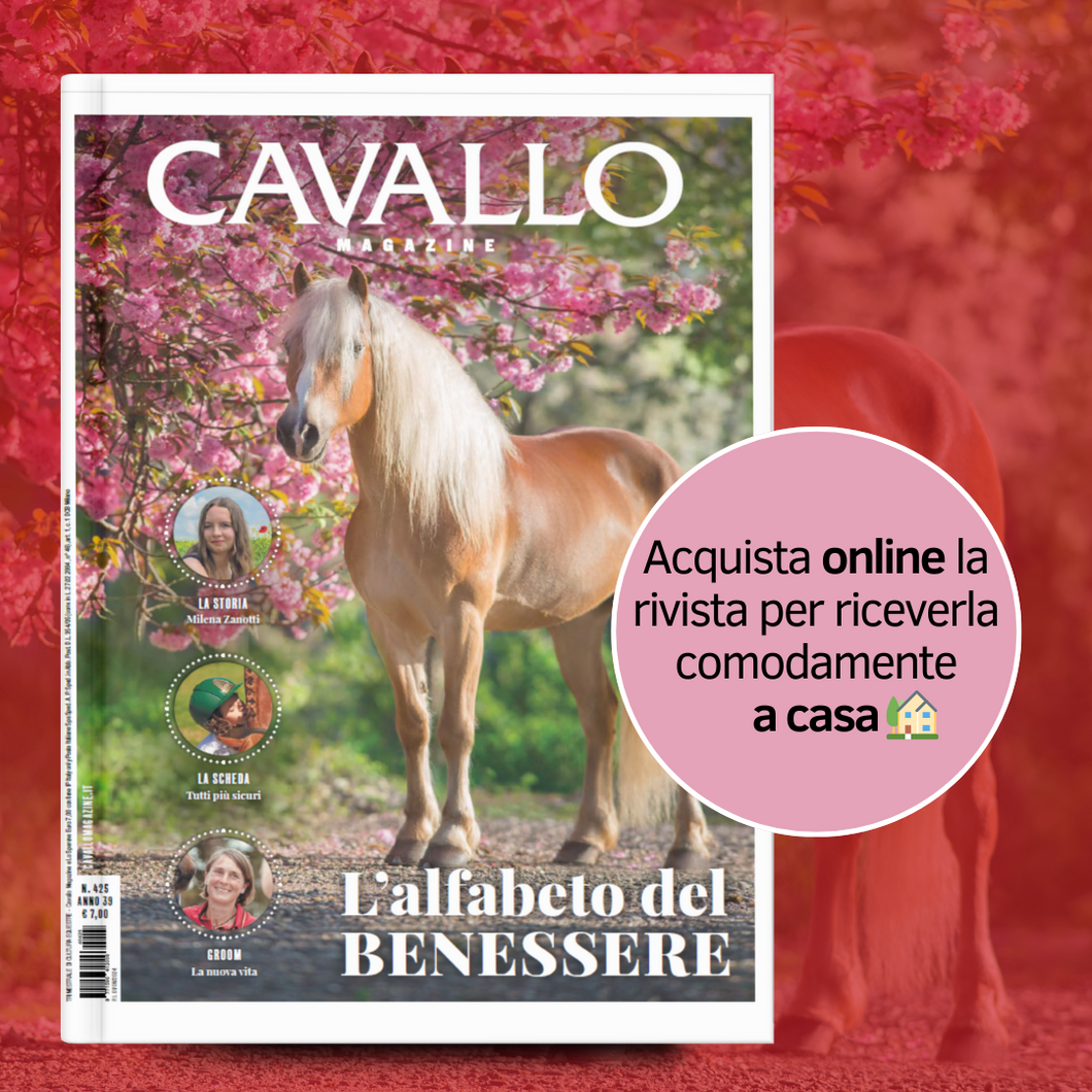 COPIA SINGOLA CARTACEA CAVALLO MAGAZINE BENESSERE 2024